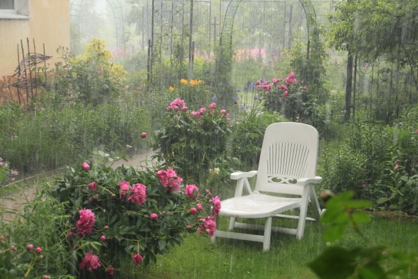 Летний дождь на даче