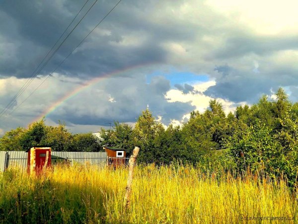 Летний дождь на даче фото
