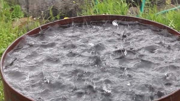 Дождь на даче