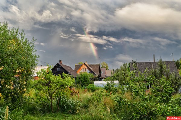 Ливень на даче