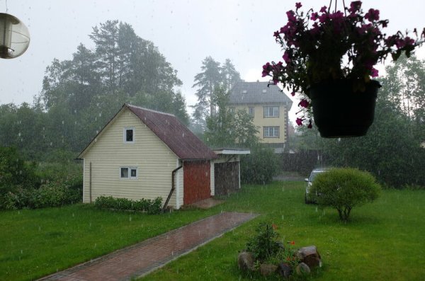 Дождь на даче