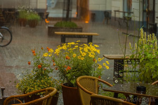 Летний дождь на даче