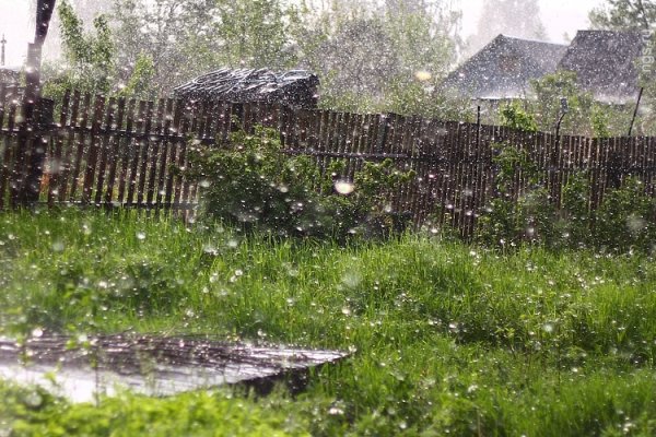 Весенний дождь на даче