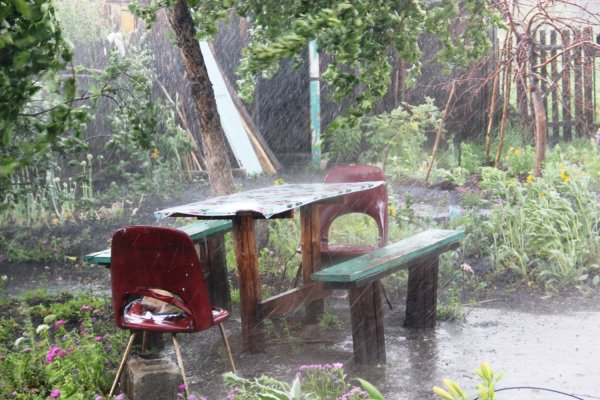 Ливень в саду