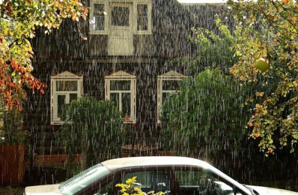 Лето дача дождь