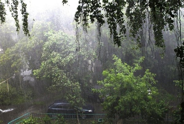 Летний ливень