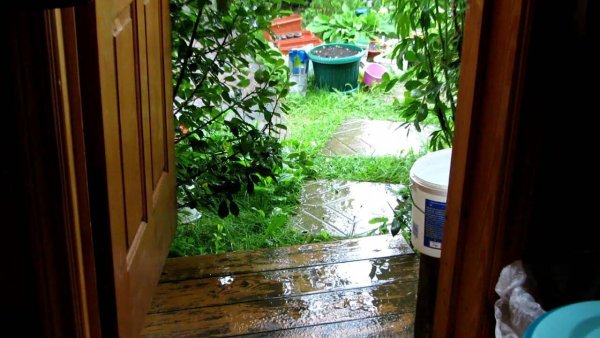 Дача дождь защитник турбы