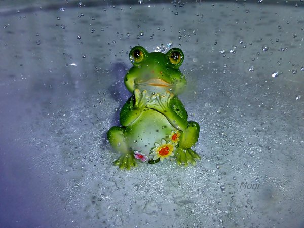 Лягушонок под дождем