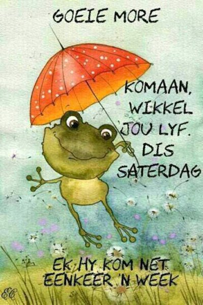 Виктория Кирдий зонтик