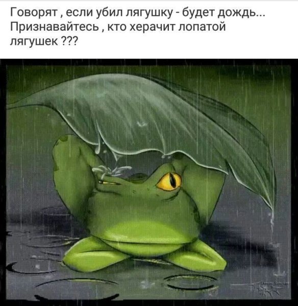 Говорят если убить лягушку