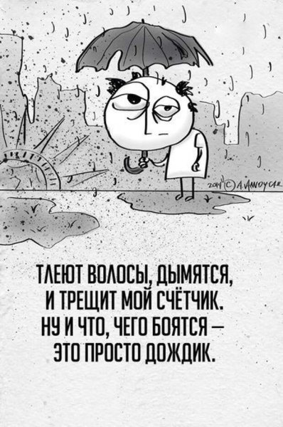 Смешные стихи про дождь