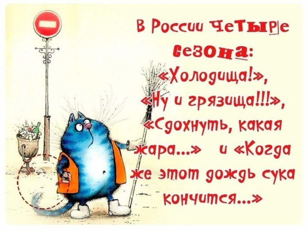 Смешные фразы про дождь