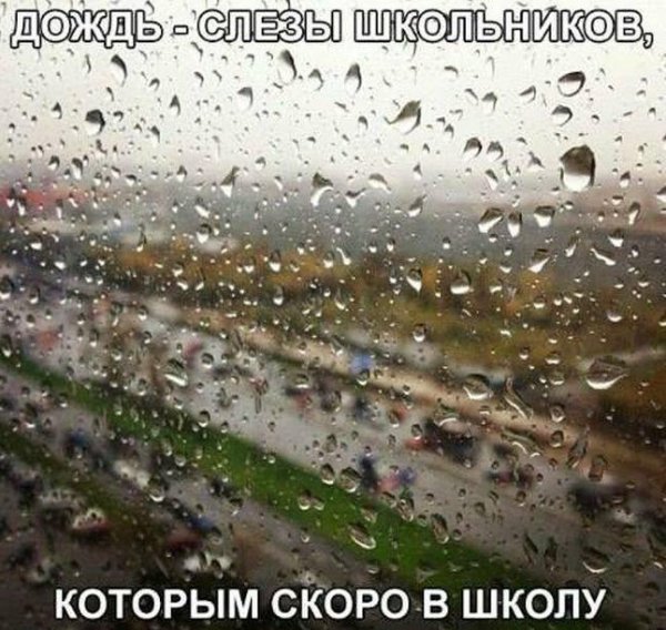 Дождь юмор