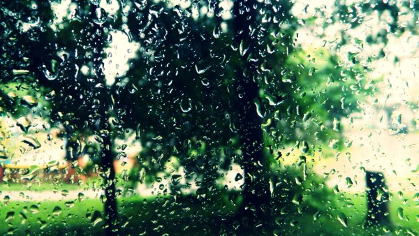 Обои дождь