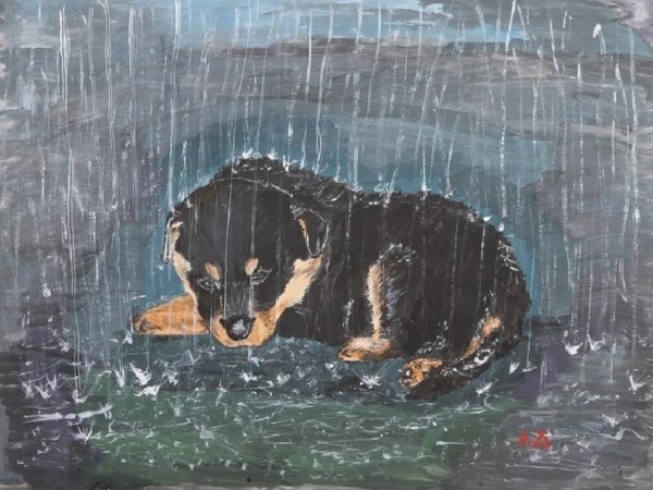 Щенок под дождем