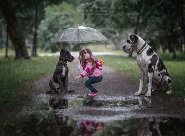 Энди Селиверстов фотограф