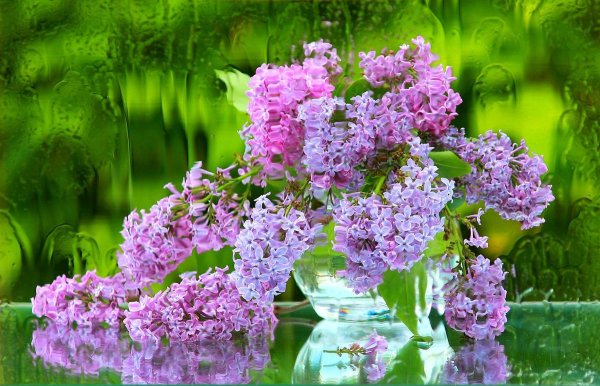 Цветы над водой