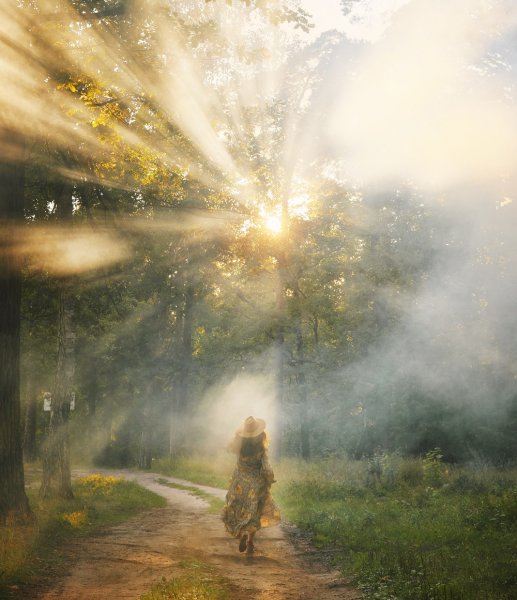 Лучи солнца и дождь