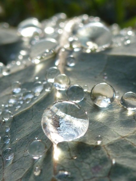 Красивая капля воды