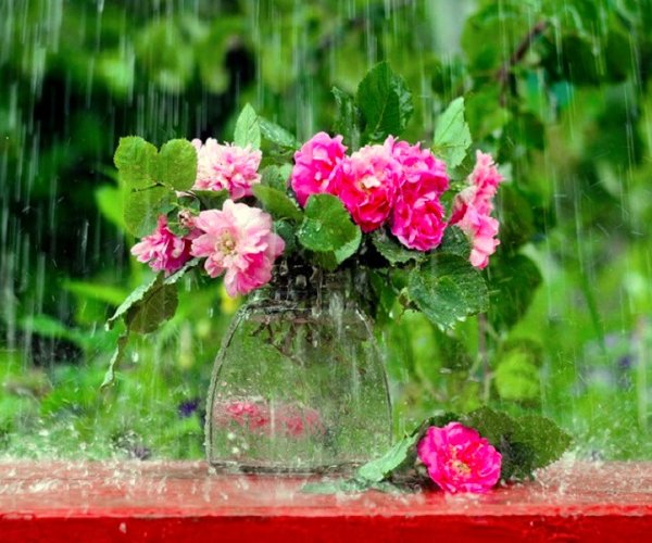 Летний дождь в саду