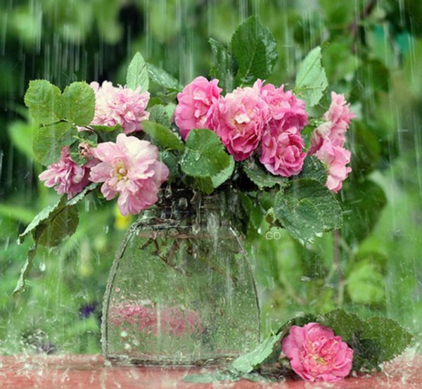 Дождь в цветочном саду