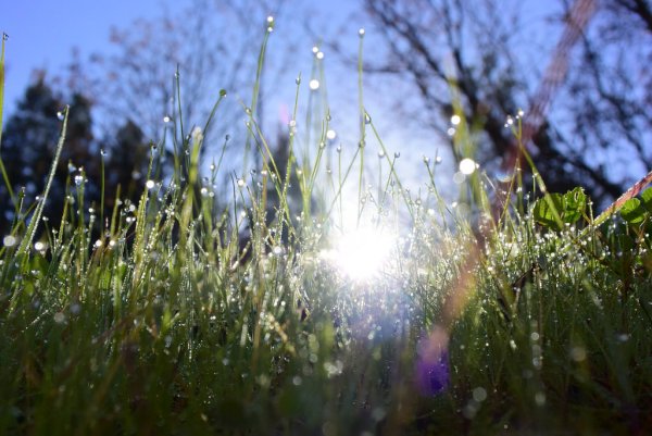 Весна солнце