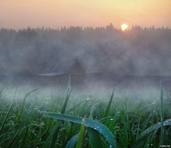 Пасмурное летнее утро