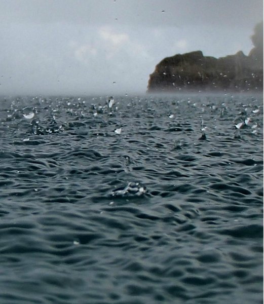 Дождливое море