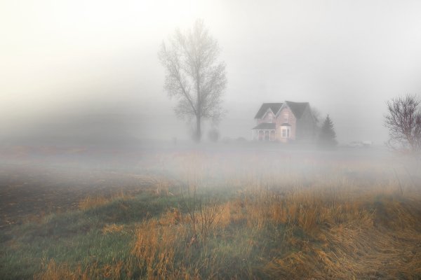Дом в тумане