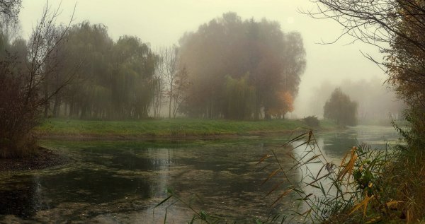 Пасмурное утро