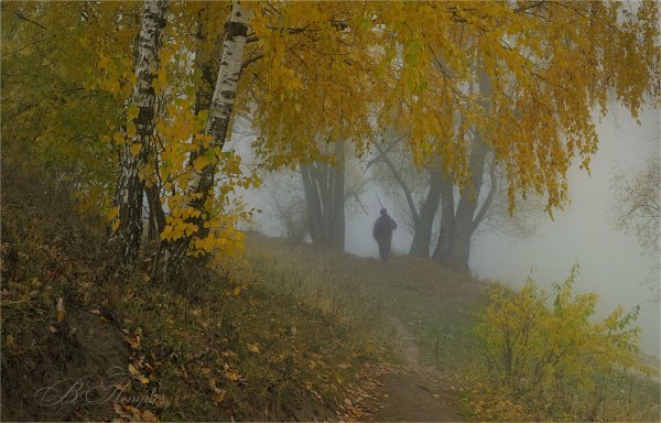 Золотая дождливая осень