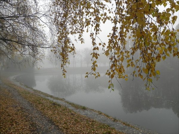 Поздняя дождливая осень