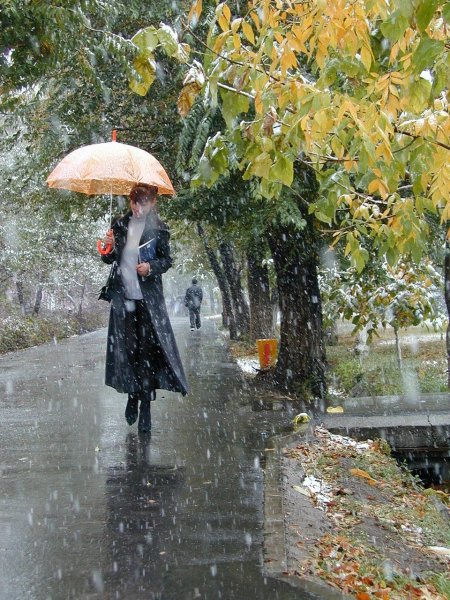 Дождливый осенний день