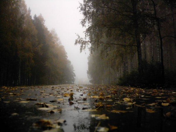 Грустная осень