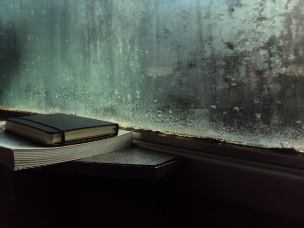 Книга на окне