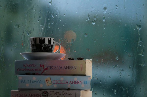 Дождь книга
