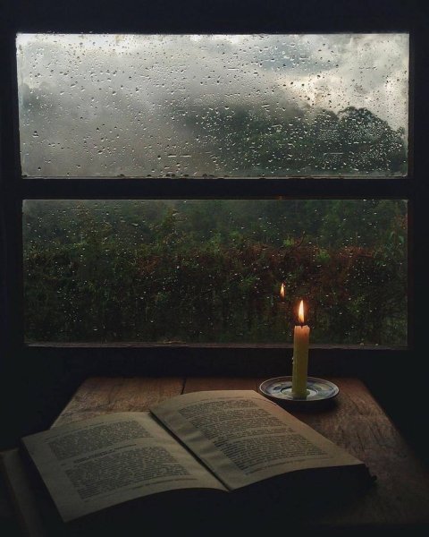 Дождь книга