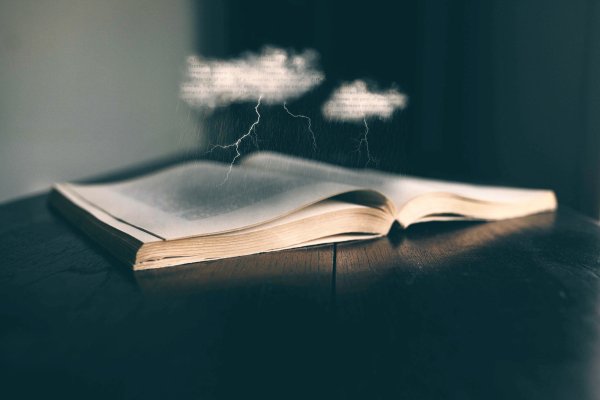 Дождь из книг