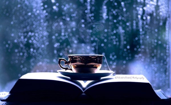 Вечер с книгой