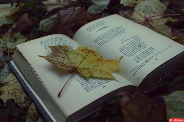 Фон ноябрь книги