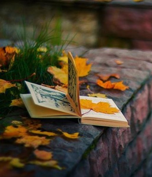 Книги про осень