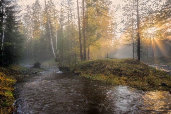 Пейзажи природы дождь