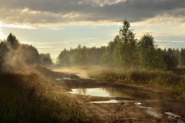 Красивые пейзажи после дождя