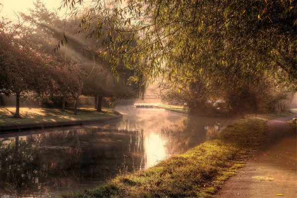 Городской и природный пейзаж