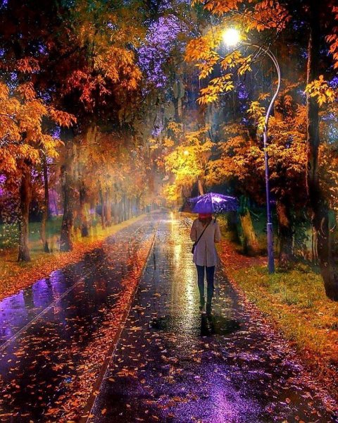 Осень дождь