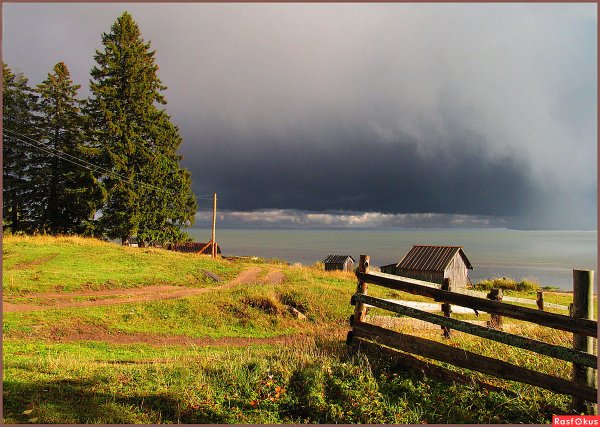 Перед дождем в деревне