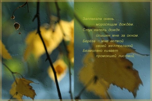 Стихи про осенний дождь