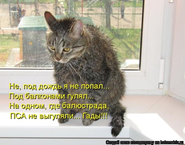 Опять дождь с надписями