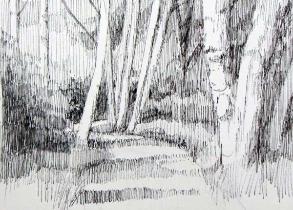 Лес карандашом