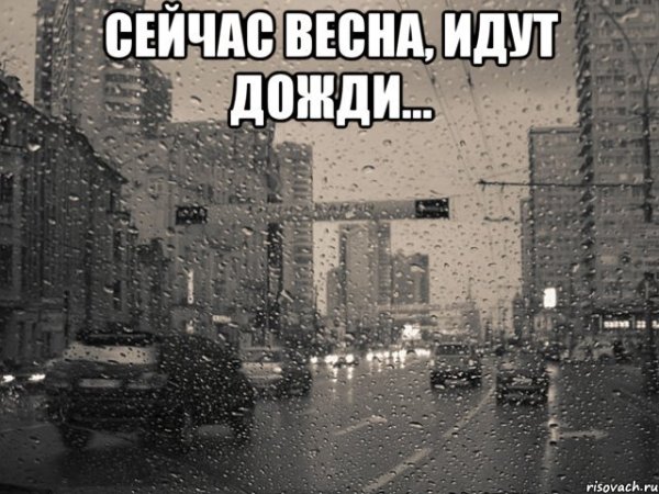Опять дождь прикольные
